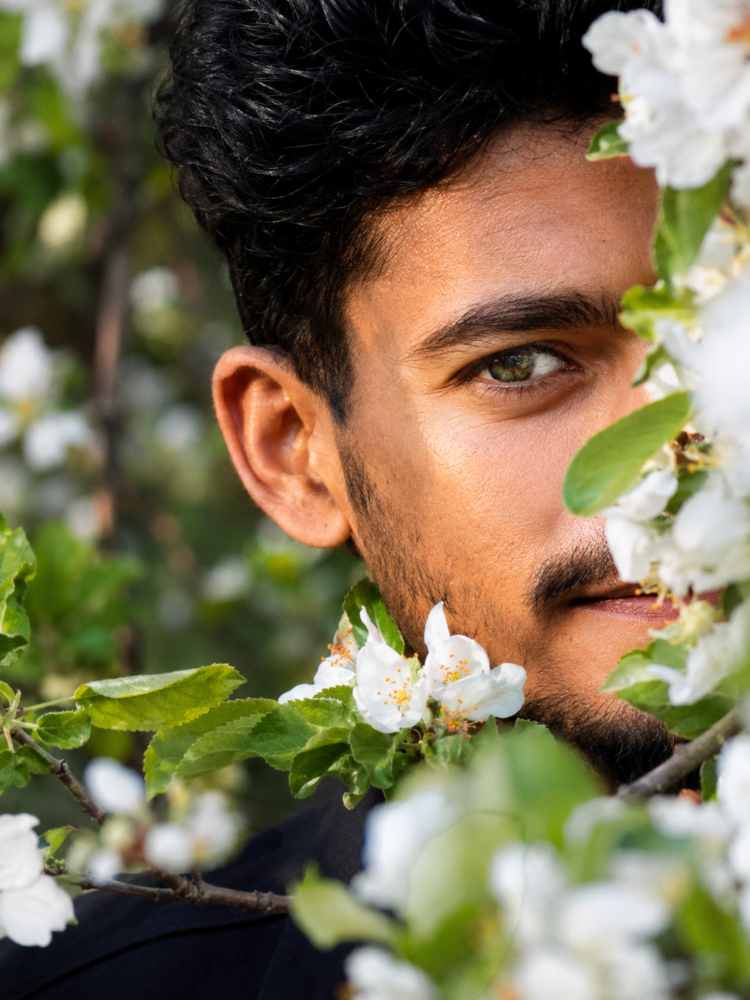 Hidden Among Blossoms