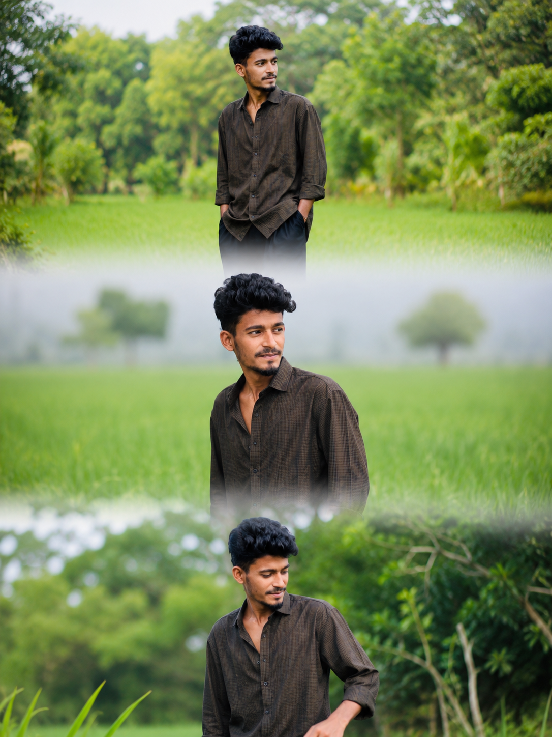 Lush Field Triptych